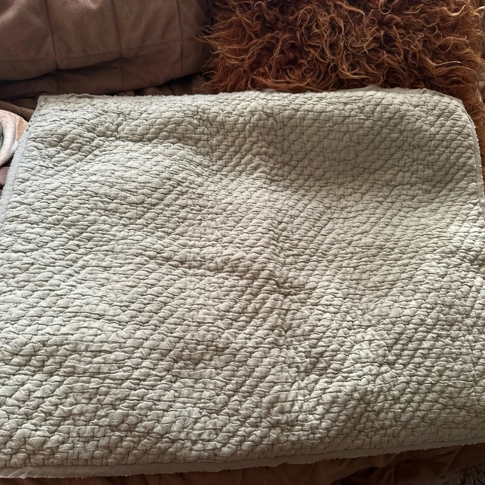 West Elm Quilted Standard Pillow Sham 20x26 Sage Green
